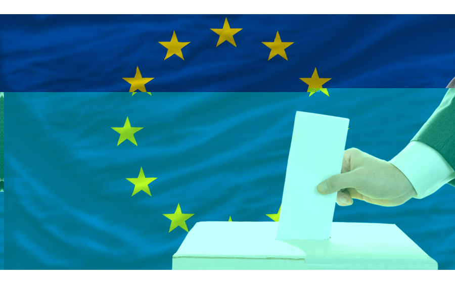 Europawahl 2024 - Ergebnis der Gemeinde Schöder