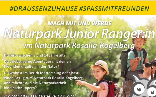 Mach mit und werde Naturpark Junior Ranger:in