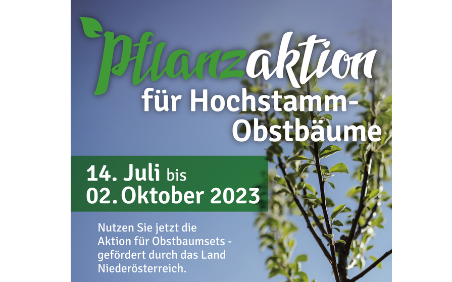 Pflanzaktion für Hochstamm- Obstbäume