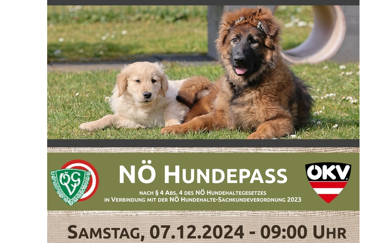 NÖ Hundepass 