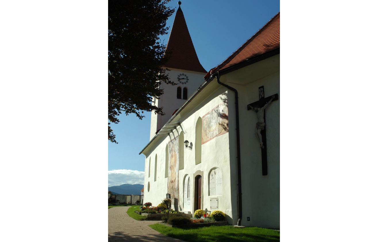 Holzwurmbefall - Kirche Feistritz