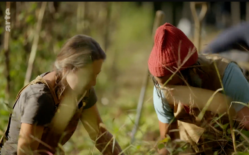 KLEINe Farm im TV