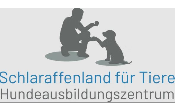 Alltagstauglichkeits Kurs nach der neuen Hundehaltungsverordnung OÖ