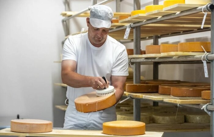 Wie wird Käse produziert?