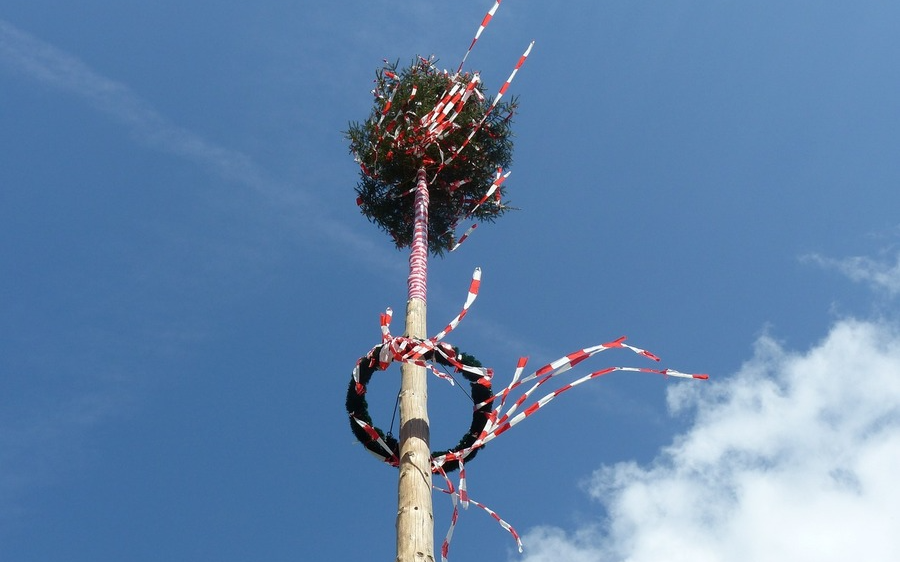 21.09.2024 Maibaumumschneiden der Schützengarde der Pfarrgemeinde St. Peter a. Kbg., Der Berghof - Pöllau am Greim