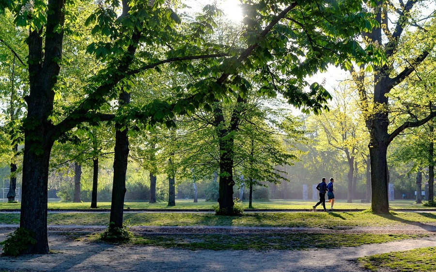 Vortrag “Bewegung als Gesundheitsfaktor“