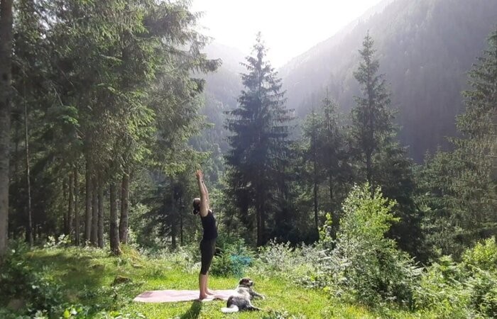 Waldyoga