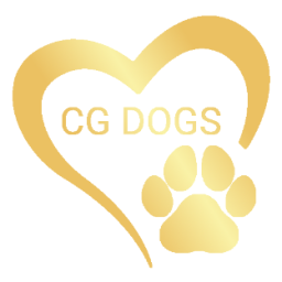 CG dogs